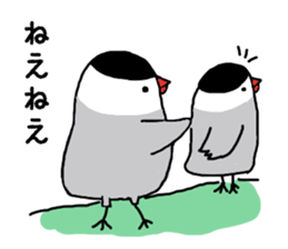 Java sparrow with pink bird part.2 sticker #10218300