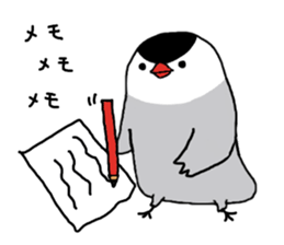 Java sparrow with pink bird part.2 sticker #10218301