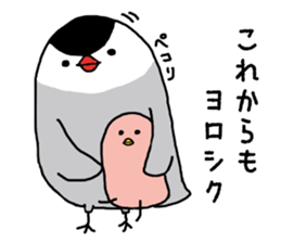 Java sparrow with pink bird part.2 sticker #10218303