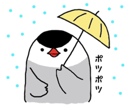 Java sparrow with pink bird part.2 sticker #10218304