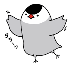 Java sparrow with pink bird part.2 sticker #10218305