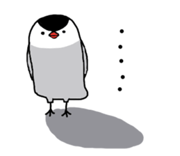 Java sparrow with pink bird part.2 sticker #10218306