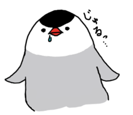 Java sparrow with pink bird part.2 sticker #10218309