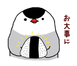 Java sparrow with pink bird part.2 sticker #10218310