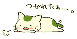 maccha-neko sticker #10218364