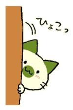 maccha-neko sticker #10218380