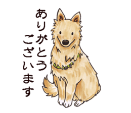 John goes sticker #10219153