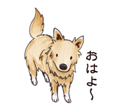 John goes sticker #10219154