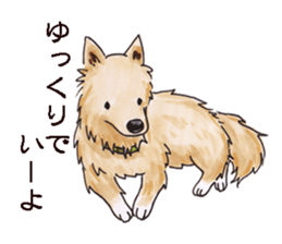 John goes sticker #10219158