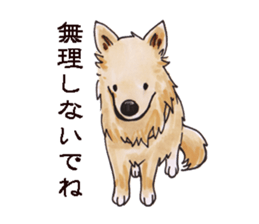 John goes sticker #10219159