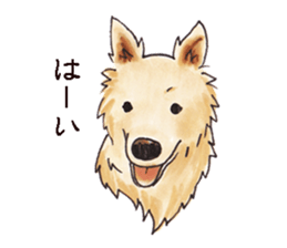 John goes sticker #10219160