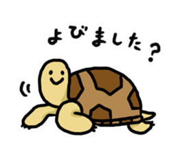 tortoises 2 sticker #10220832