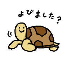 tortoises 2 sticker #10220832