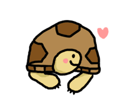 tortoises 2 sticker #10220834