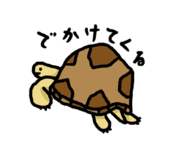 tortoises 2 sticker #10220835