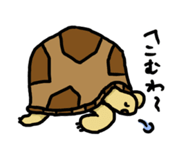 tortoises 2 sticker #10220836