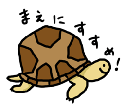 tortoises 2 sticker #10220837