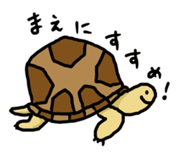 tortoises 2 sticker #10220837