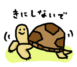 tortoises 2 sticker #10220838