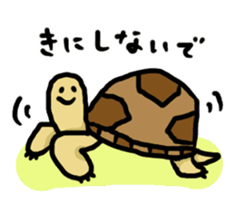 tortoises 2 sticker #10220838