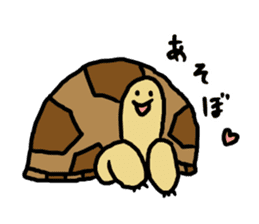 tortoises 2 sticker #10220839