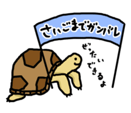tortoises 2 sticker #10220844