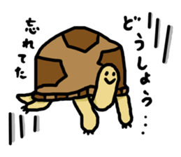 tortoises 2 sticker #10220846