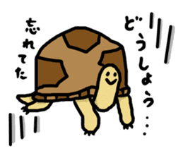 tortoises 2 sticker #10220846