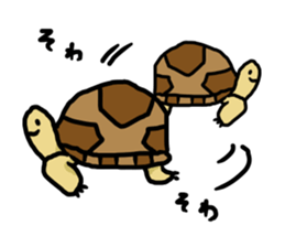 tortoises 2 sticker #10220847