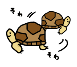 tortoises 2 sticker #10220847