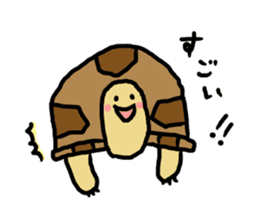 tortoises 2 sticker #10220848