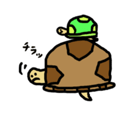 tortoises 2 sticker #10220849
