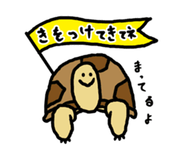 tortoises 2 sticker #10220851