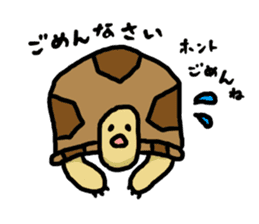 tortoises 2 sticker #10220854