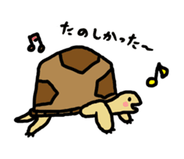 tortoises 2 sticker #10220855