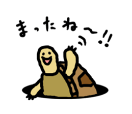 tortoises 2 sticker #10220862