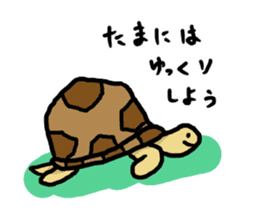 tortoises 2 sticker #10220868