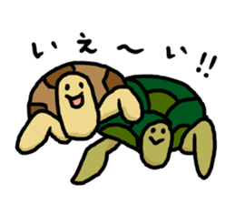 tortoises 2 sticker #10220870