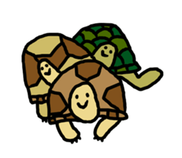 tortoises 2 sticker #10220871