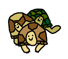 tortoises 2 sticker #10220871