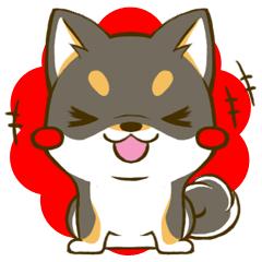 Japanese Black Shiba Inu Tan 3 By Chie Kojima Japanese Black Shiba Inu Tan 3 By Chie Kojima
