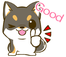 Japanese Black Shiba Inu tan 3 sticker #10221003