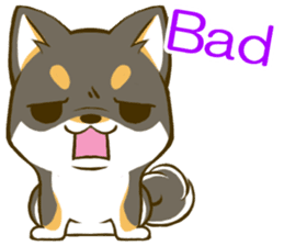 Japanese Black Shiba Inu tan 3 sticker #10221008