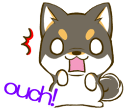 Japanese Black Shiba Inu tan 3 sticker #10221009