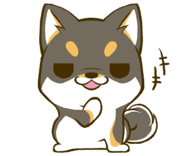 Japanese Black Shiba Inu tan 3 sticker #10221018