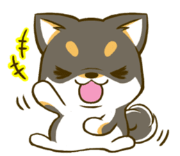 Japanese Black Shiba Inu tan 3 sticker #10221023