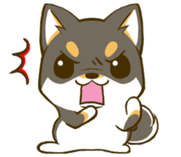 Japanese Black Shiba Inu tan 3 sticker #10221025