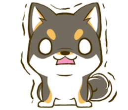 Japanese Black Shiba Inu tan 3 sticker #10221026