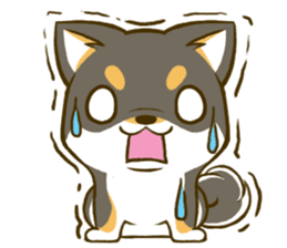 Japanese Black Shiba Inu tan 3 sticker #10221027
