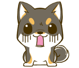 Japanese Black Shiba Inu tan 3 sticker #10221028